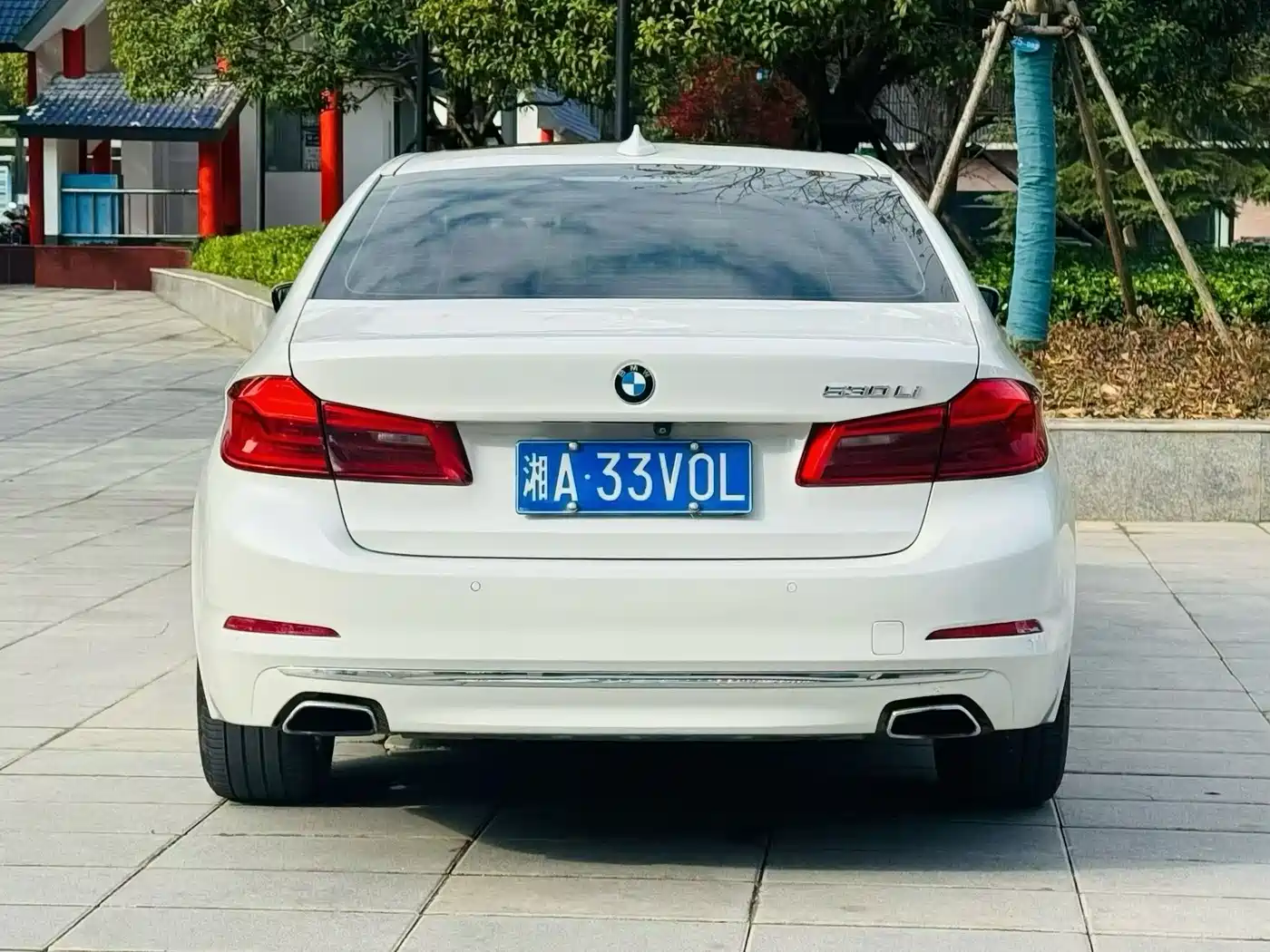 BMW 5 Series 2020 530Li Premium Luxury Package фото 8