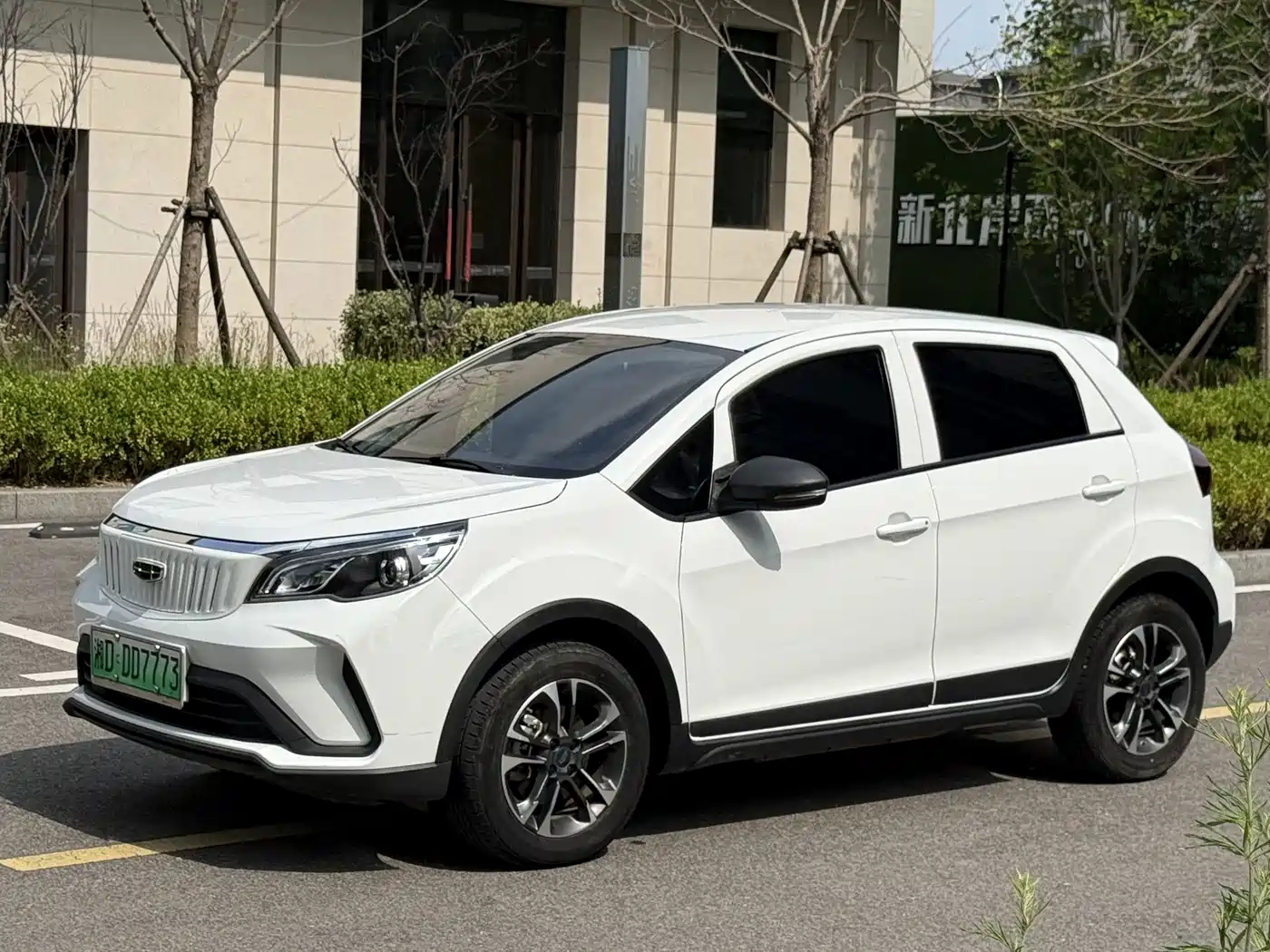 Geely Geometry EX3 Kung Fu Bull 2022 2021 Kung Fu Niu Niu