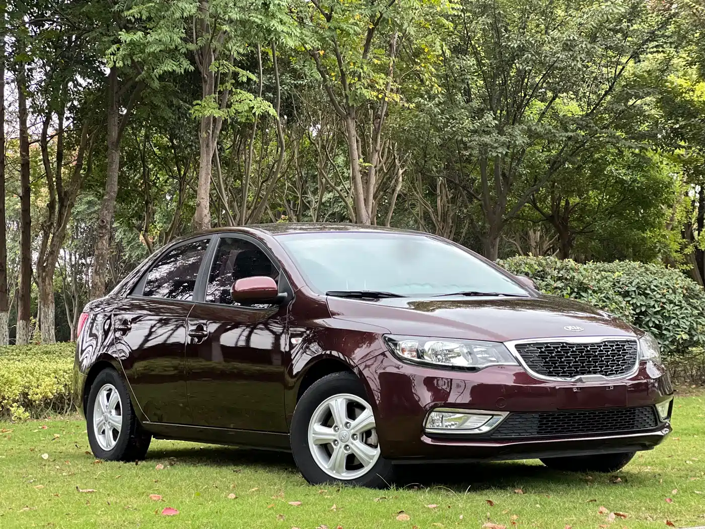 Kia Forte 2014 2014 1.6L MT GL