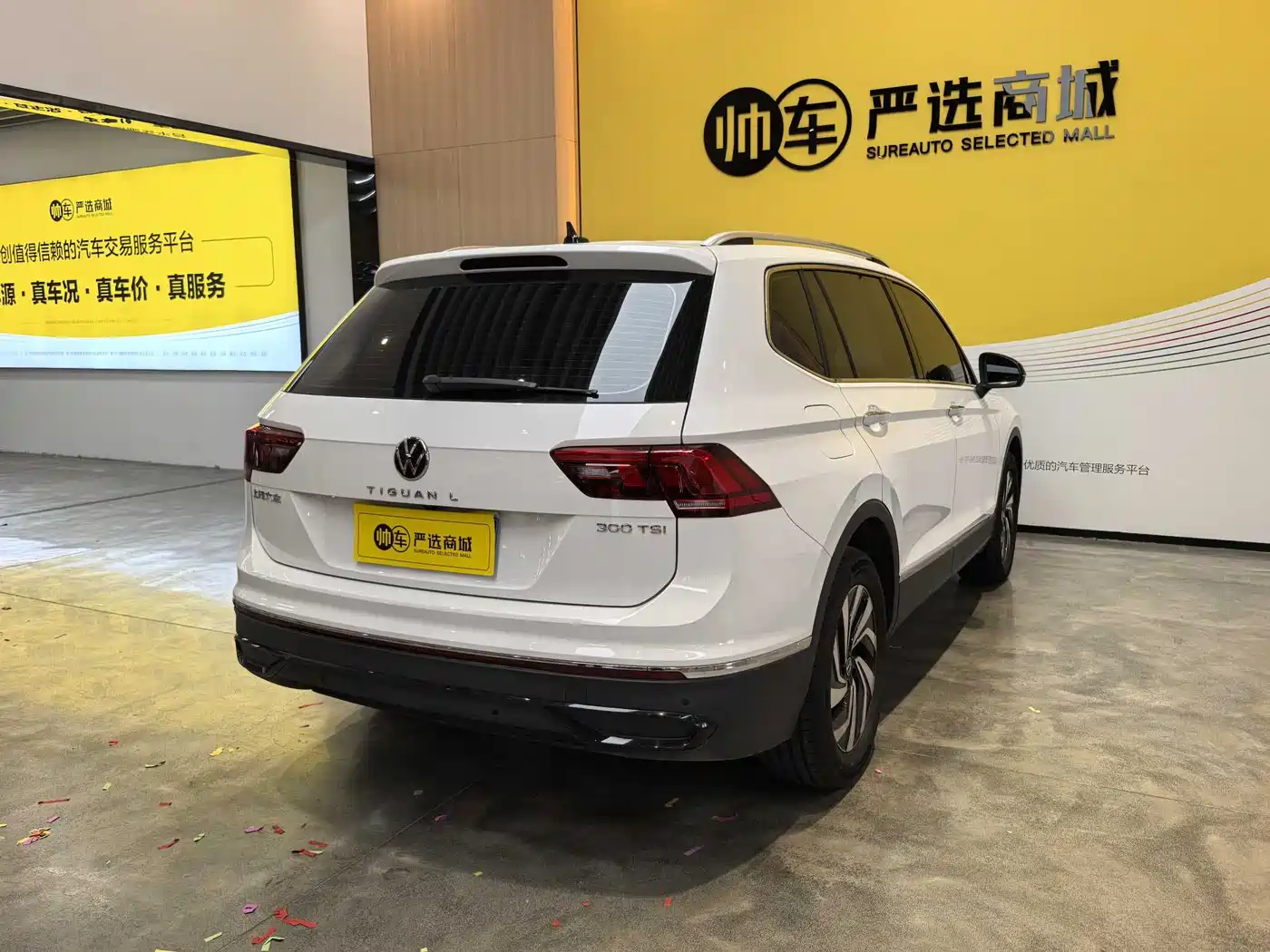 Volkswagen Tiguan L 2024 Outstanding 330TSI Auto 2WD Dragon Soaring Edition фото 6