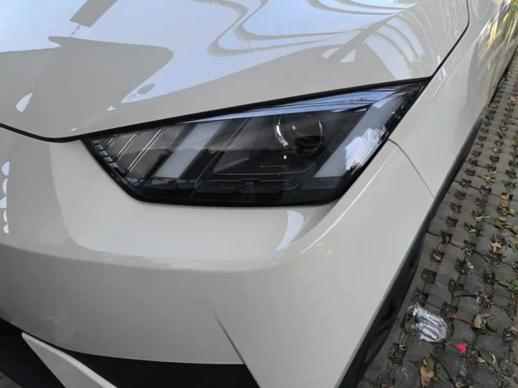 Фото 24 - BYD Seagull