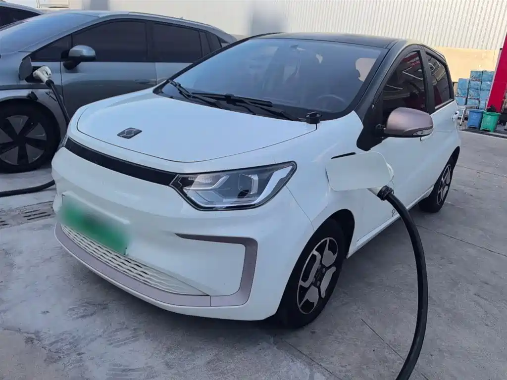 Sehol Flower Fairy 2021 302km Luxury Edition 31.4kWh