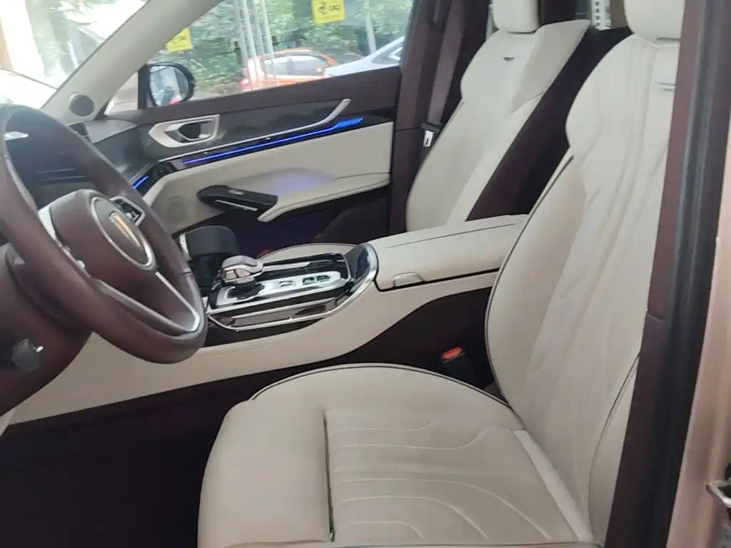 Photo 15 - Hongqi H9