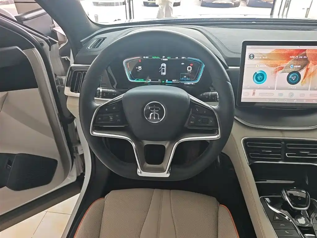 BYD Song PLUS PHEV 2021 DM-i 51KM Honor фото 10