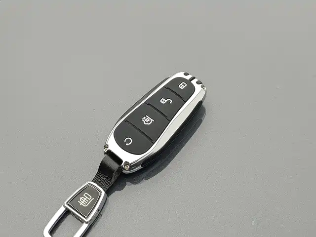 BYD Tang New Energy 2024 2024 DM-i Honor Edition 112KM Premium