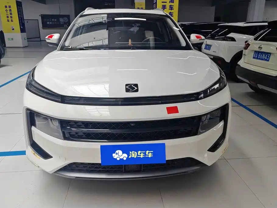 2021 Sehol QX