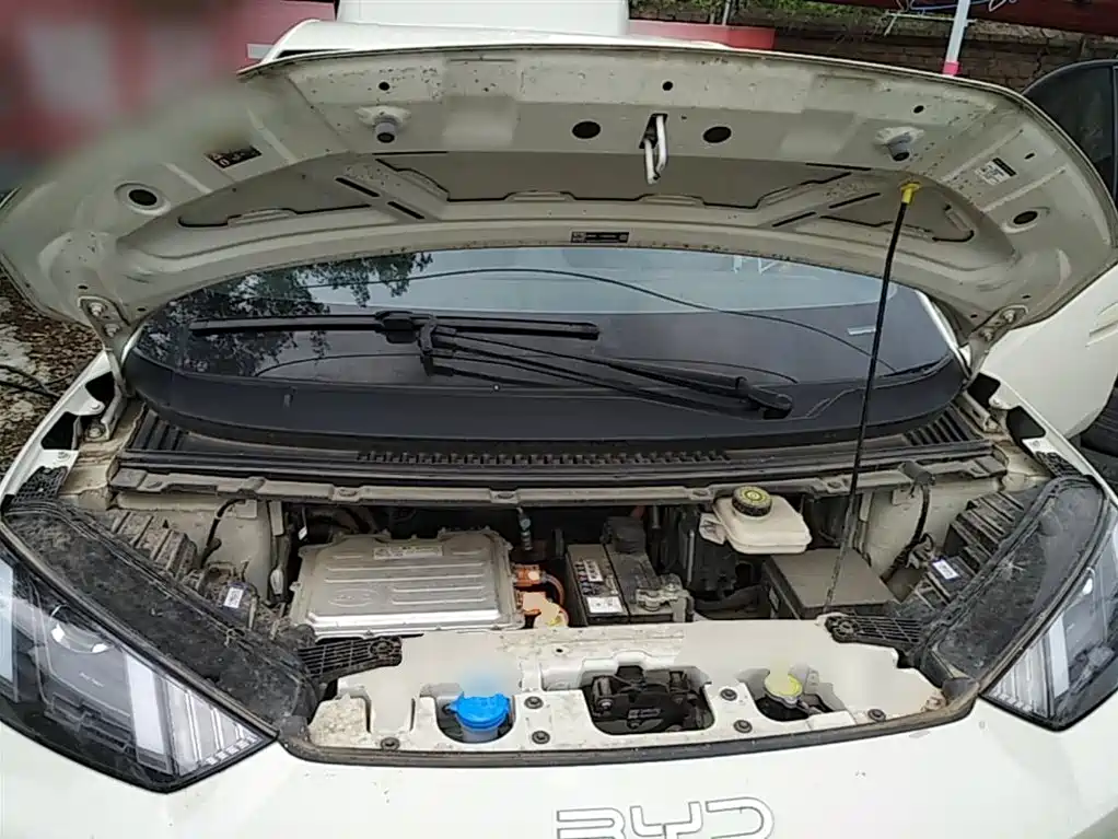 BYD Seagull 2024 Glory Edition 305km Vitality Edition фото 20