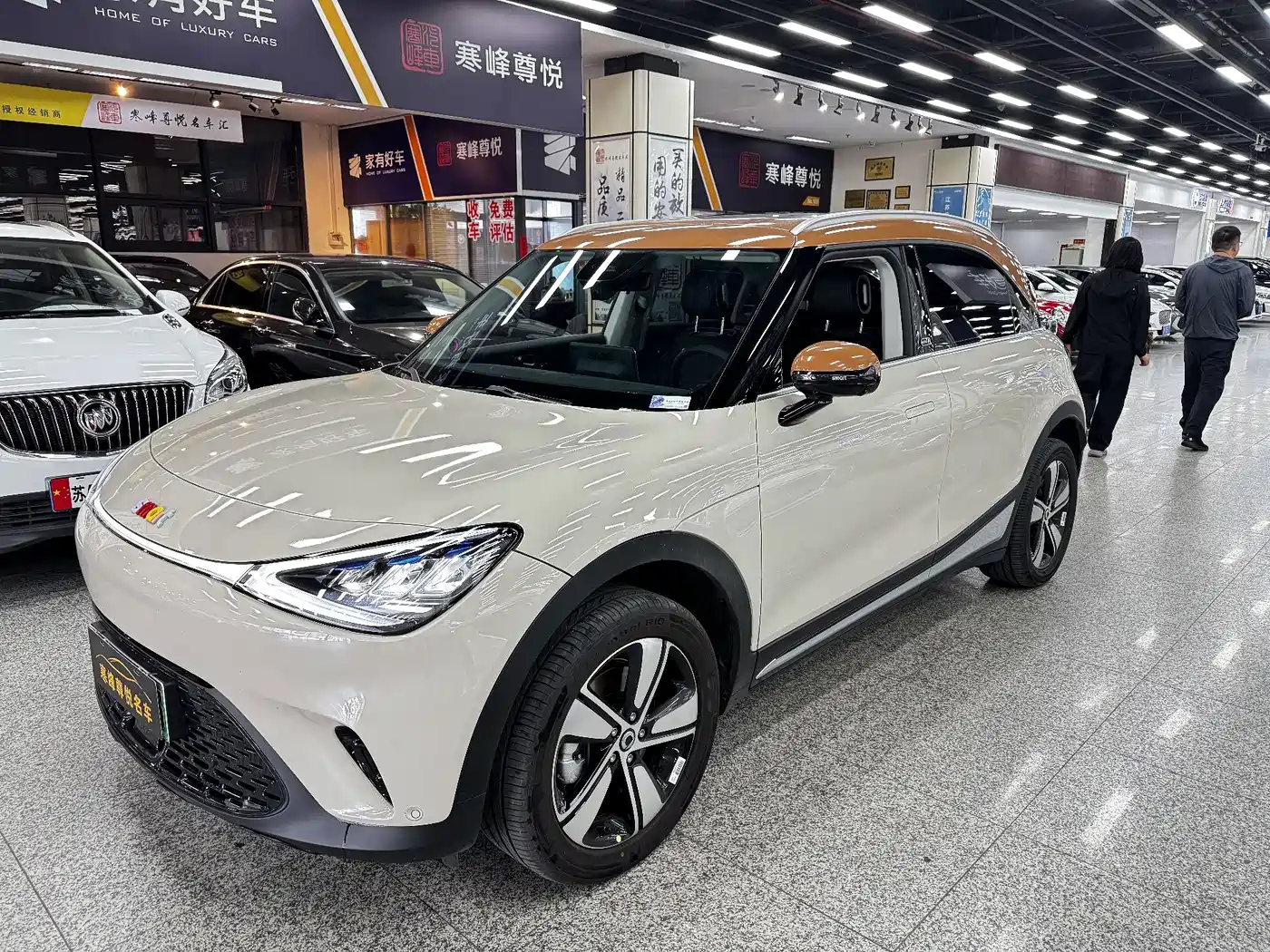2025 smart Elf #1