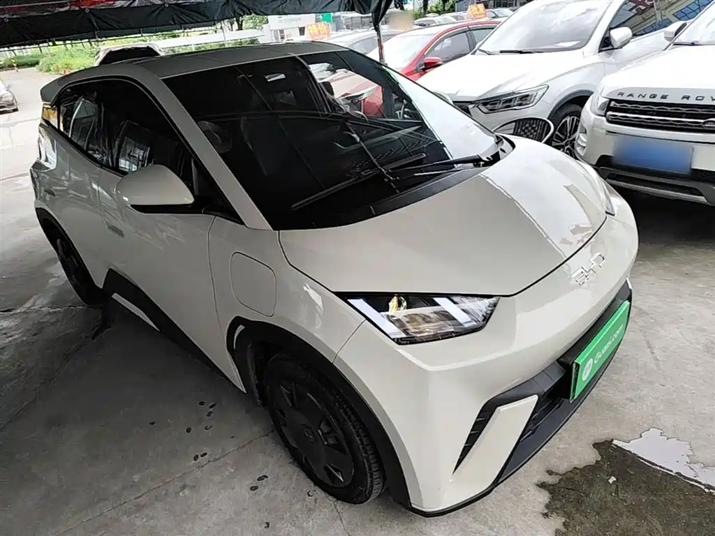 BYD Seagull 2024 Glory Edition 305km Vitality Edition фото 4