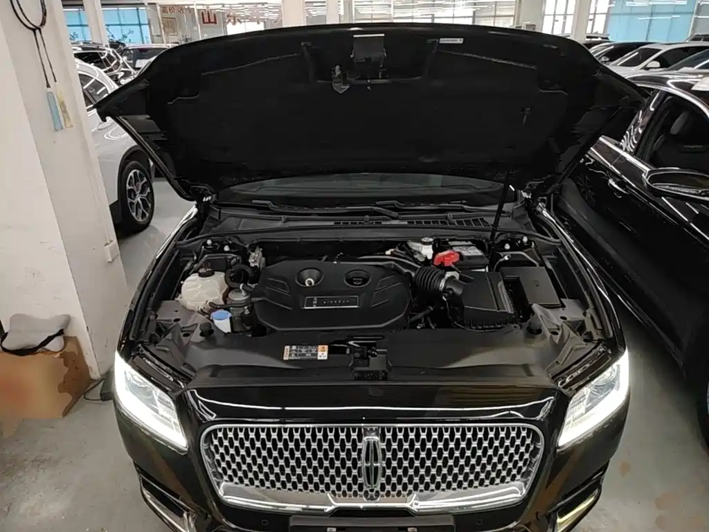 Lincoln Continental 2021 2019 2.0T 2WD Zunxiang Edition China VI