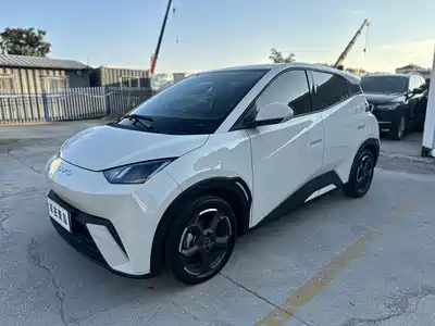 BYD Seagull