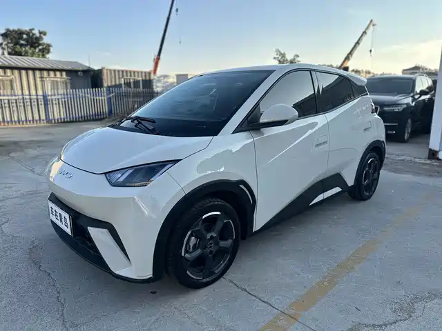 BYD Seagull Свобода