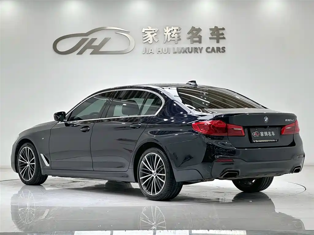 BMW 5 Series 2020 530Li Leading M Sport Package фото 5