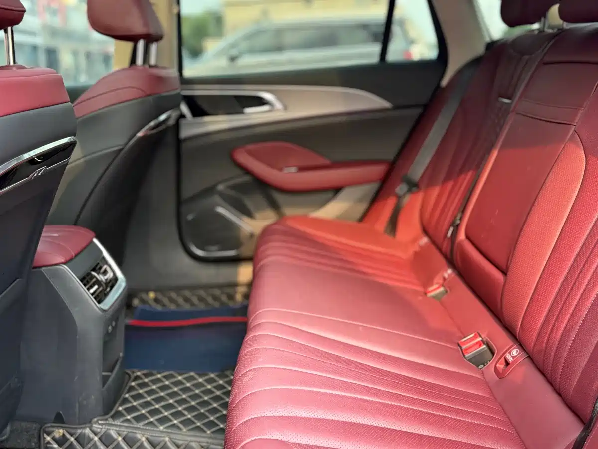 Hongqi H5 2024 2.0T Automatic Smart Connect Flag Smooth Edition фото 25