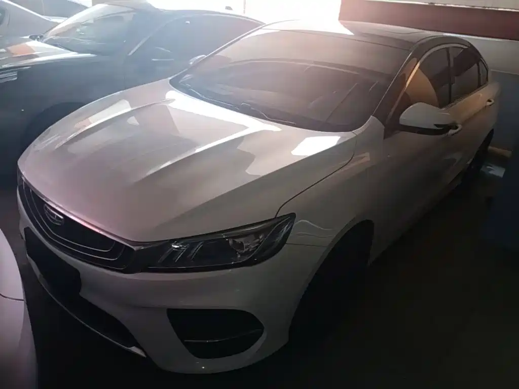 Фото 2 - Geely Binrui