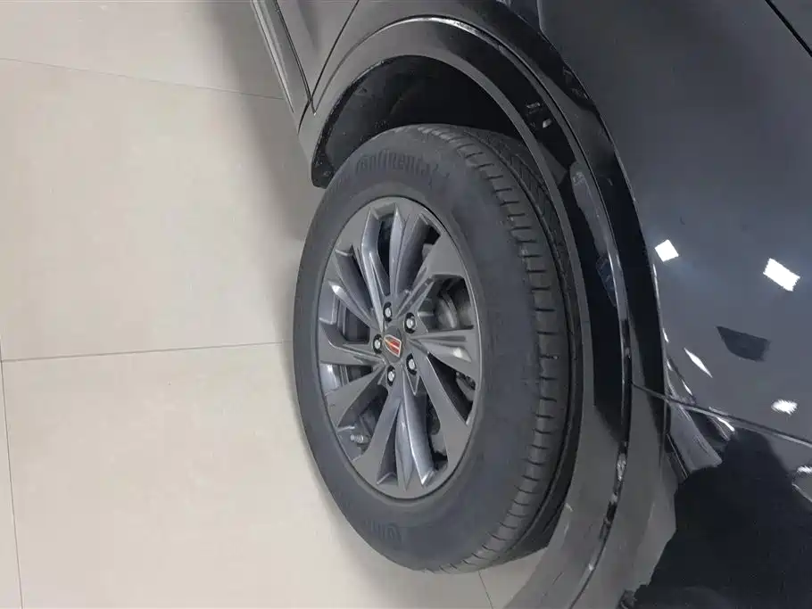 Hongqi HS5 2023 2.0T Flag Enjoy Pro Edition фото 6