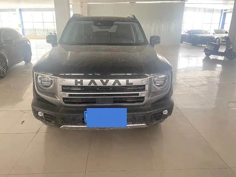 Haval Big Dog 2024 1.5T DCT Border Collie Edition