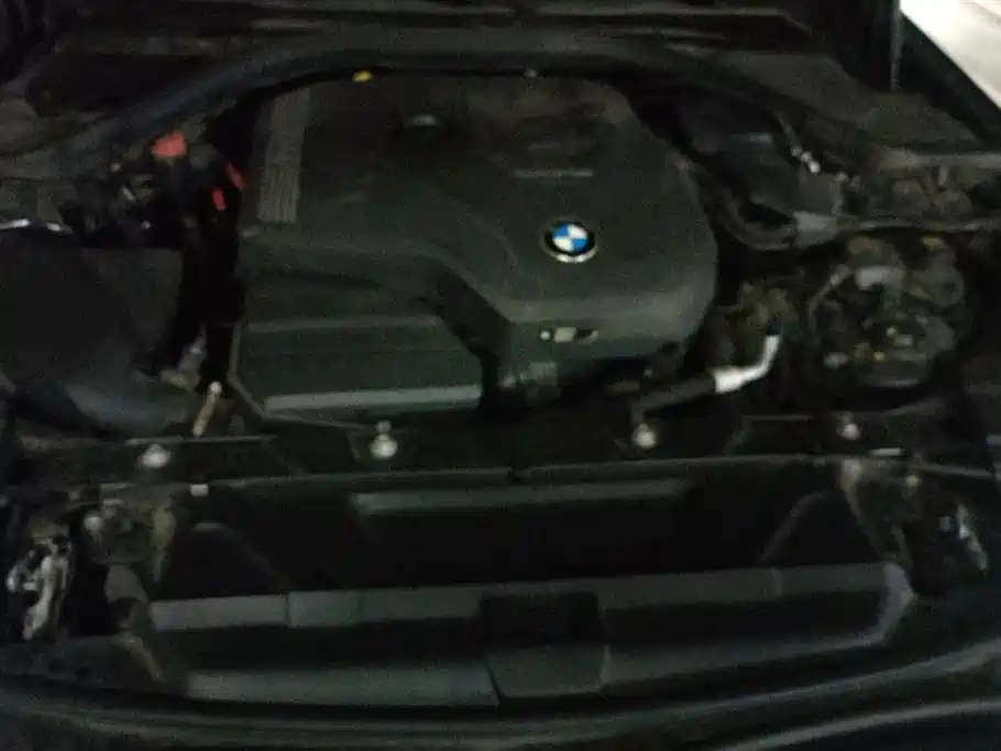 BMW 3 Series 2020 Facelift 325Li M Sport Package фото 10