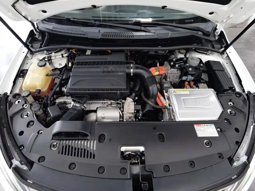 BYD Qin New Energy 2017 2017 1.5T Premium Model