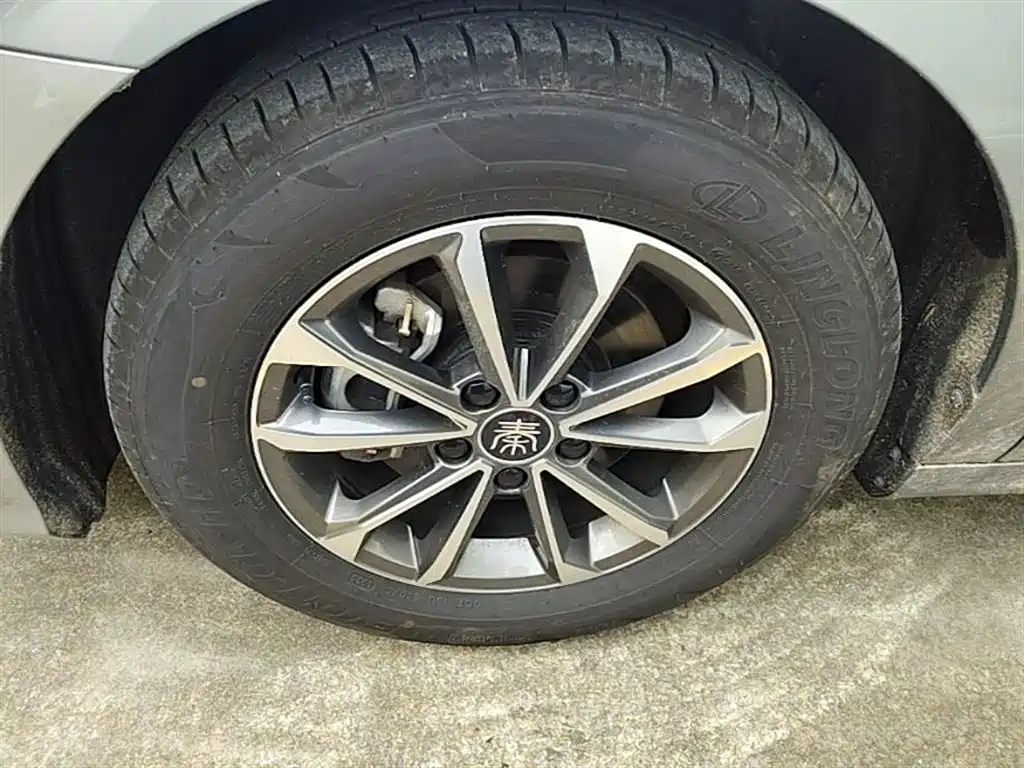 BYD Qin PLUS 2023 Champion Edition DM-i 55KM Leading фото 23