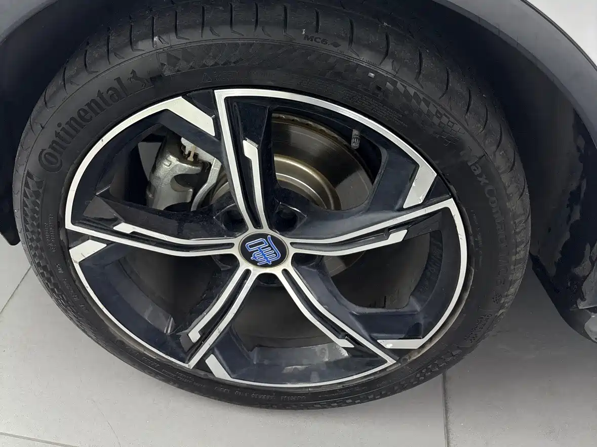 BYD Tang New Energy 2021 DM-i 112KM Honor фото 7