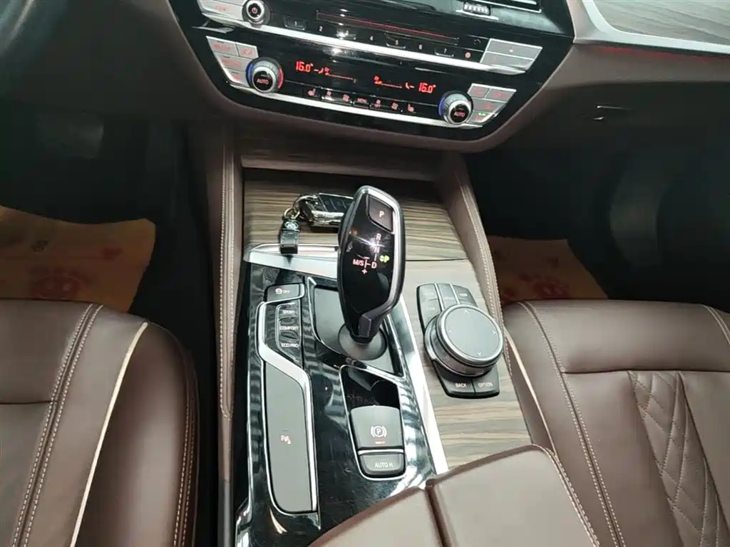 BMW 5 Series 2019 Facelift 530Li Leading Luxury Package фото 14