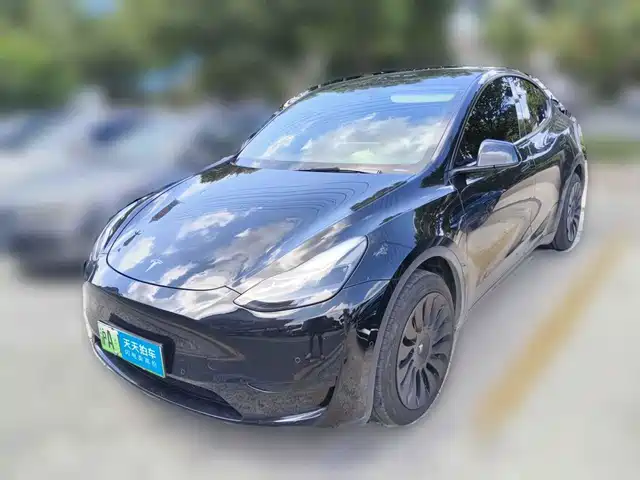 Tesla Model Y 2023 Rear-Wheel Drive Edition — фото 1