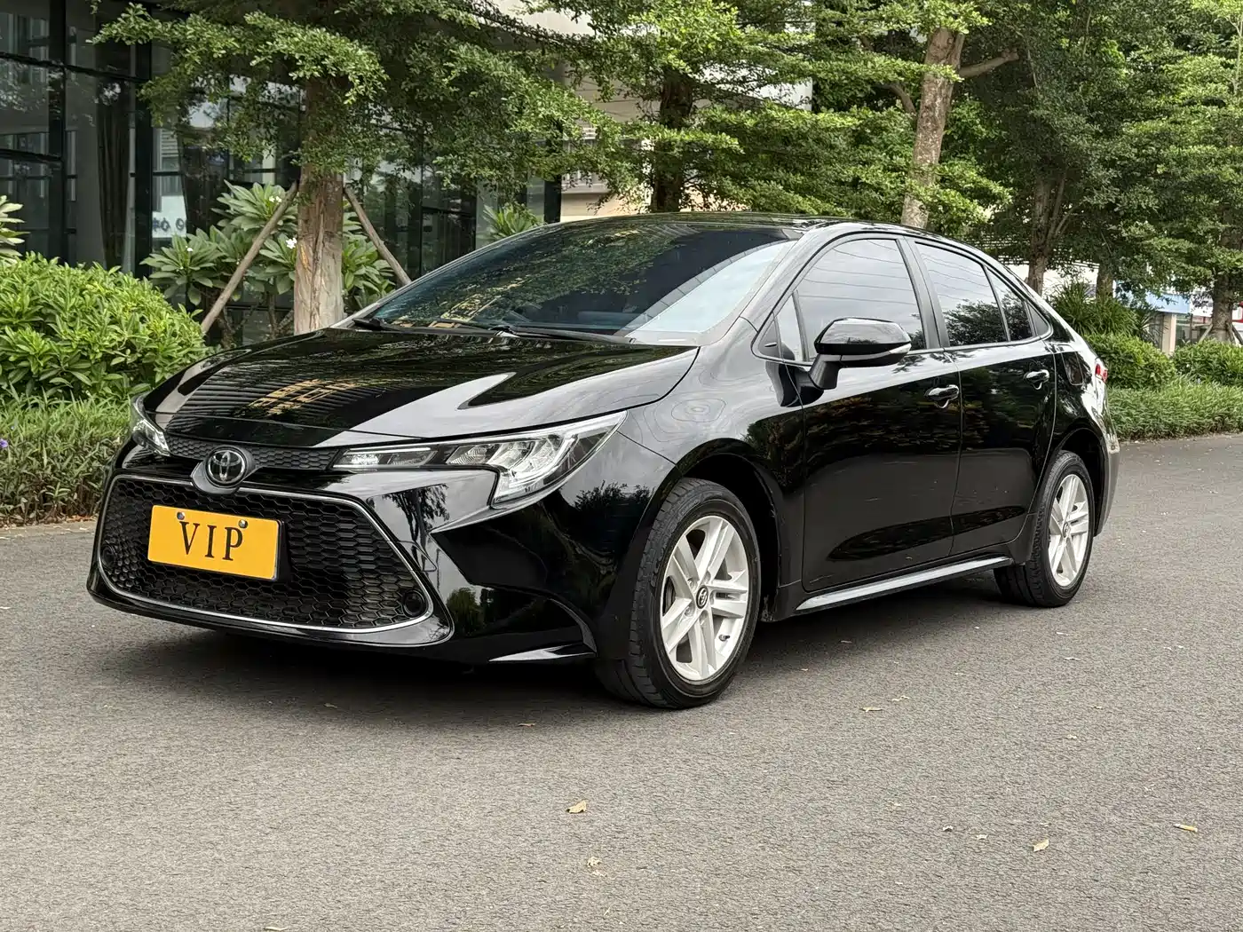 Toyota Levin 2019 185T CVT Luxury Edition China V