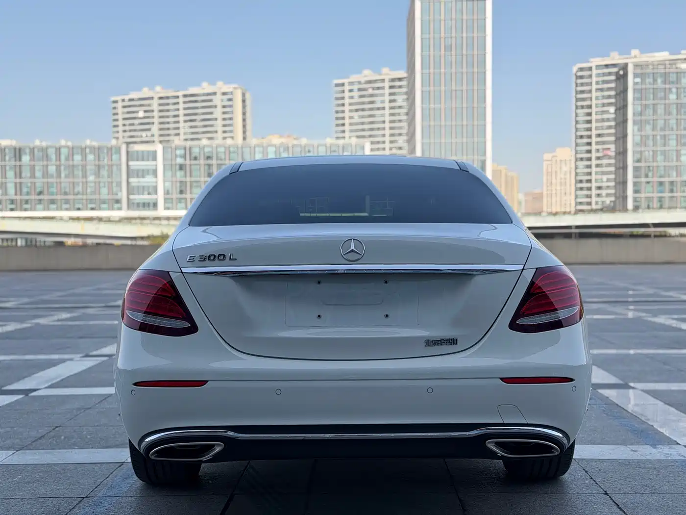 Mercedes-Benz E-Class 2020 E 300 L Luxury Model фото 6