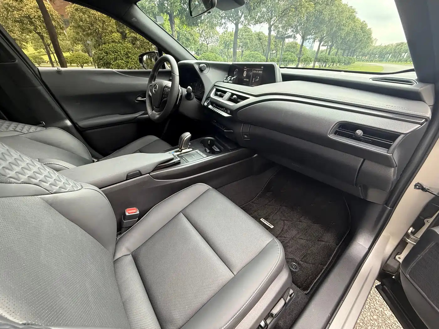 Lexus UX Electric 2020 300e Pure Yue Edition фото 14