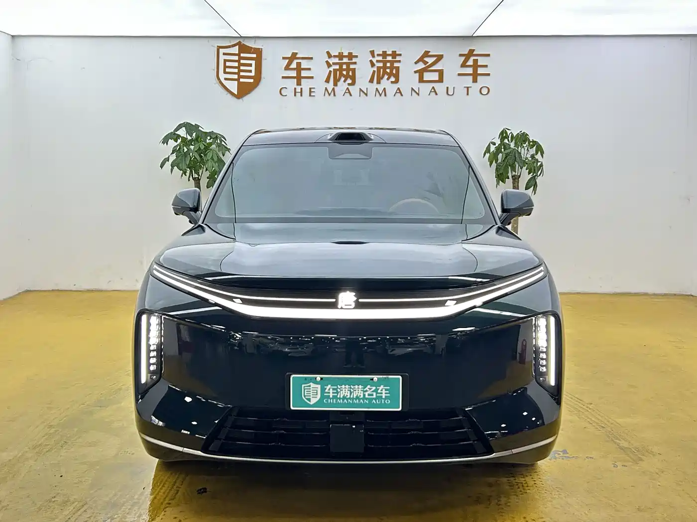BYD Dynasty-D 2026