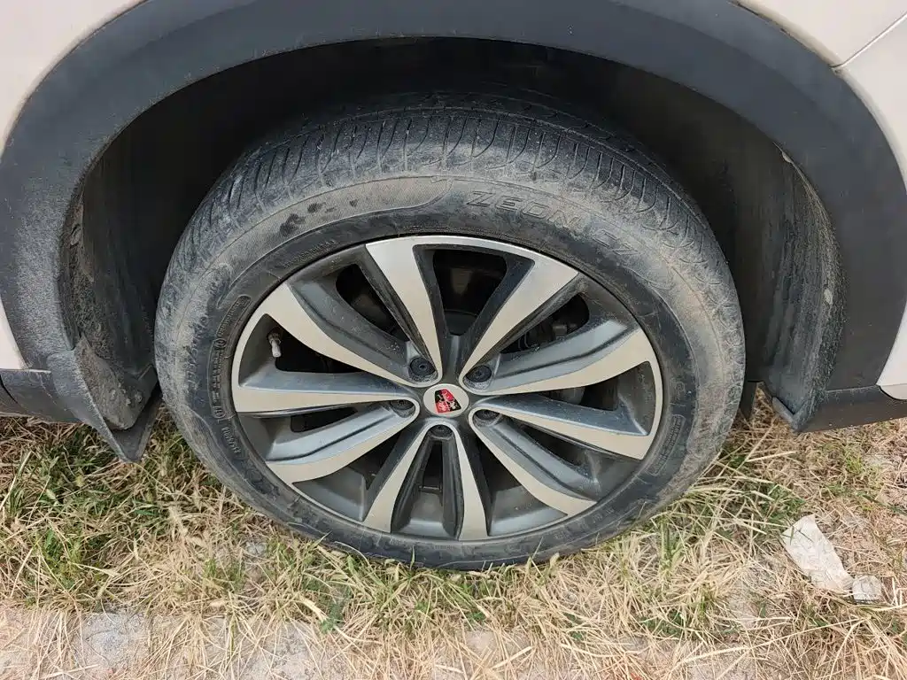 Roewe RX5 MAX 2019 2019 300TGI Automatic 4G Connected Luxury Edition