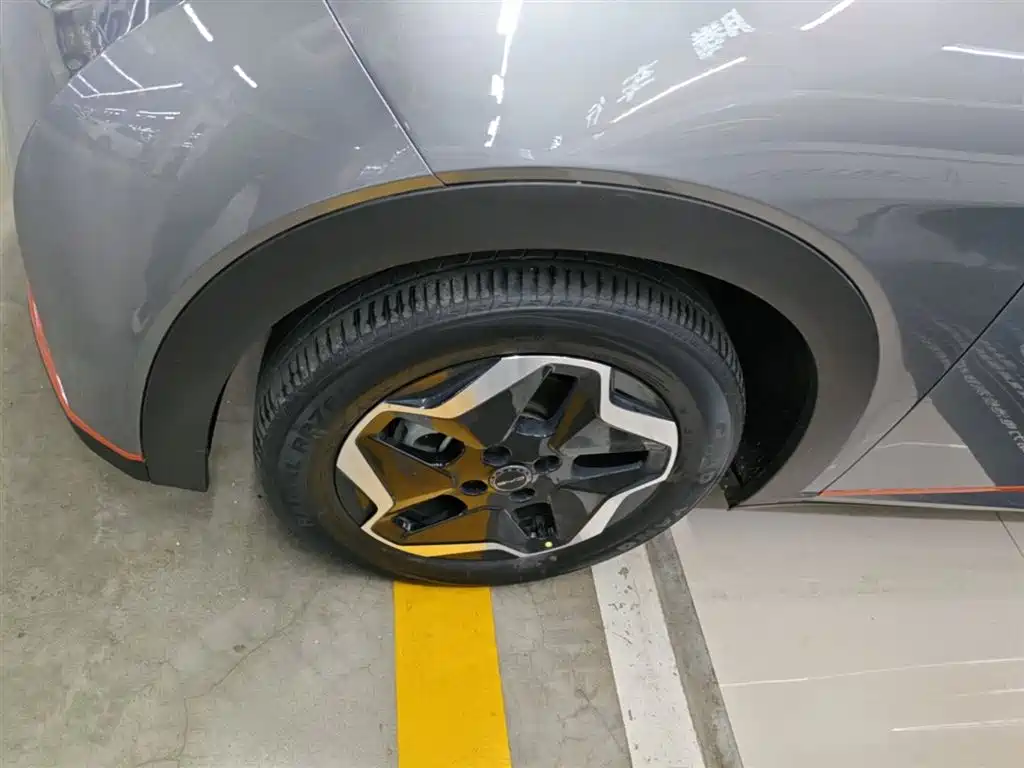 BYD Dolphin 2021 Model 405km Fashion Edition фото 23