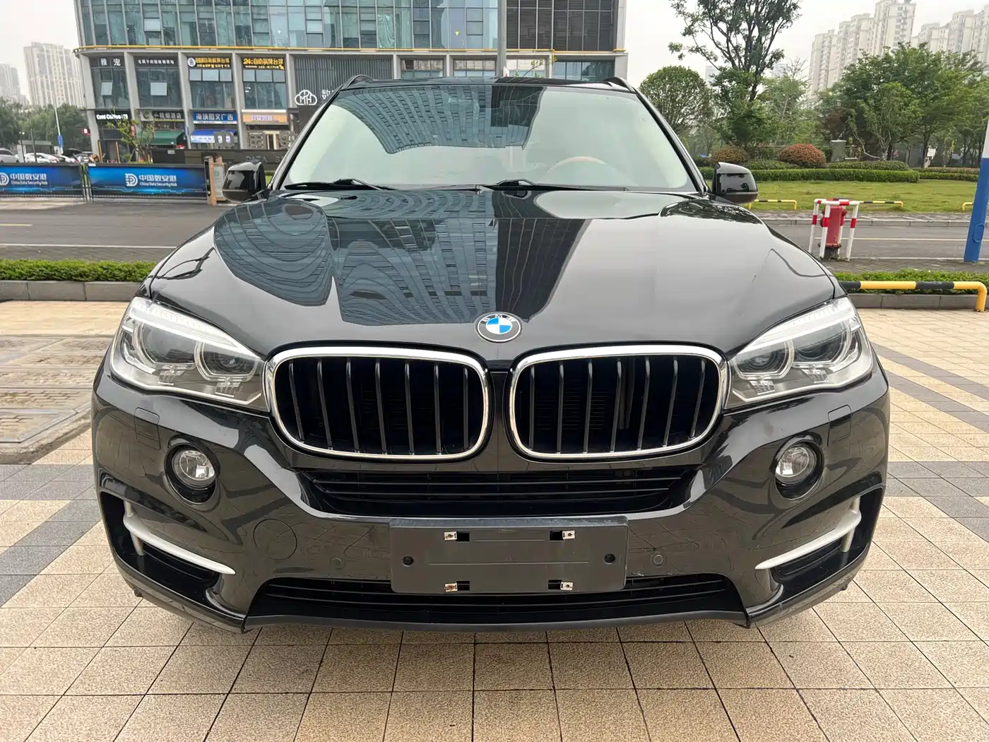 BMW X5 (Import) 2017 xDrive35i Elegance фото 2