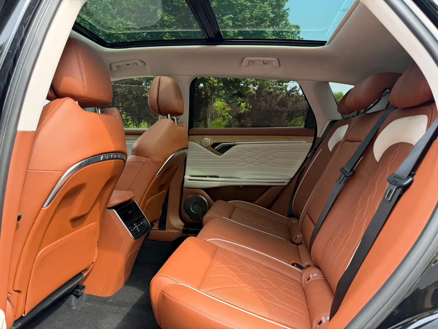 Voyah Auto VOYAH FREE 2024 Ultra Long Range Intelligent Driving Edition фото 9