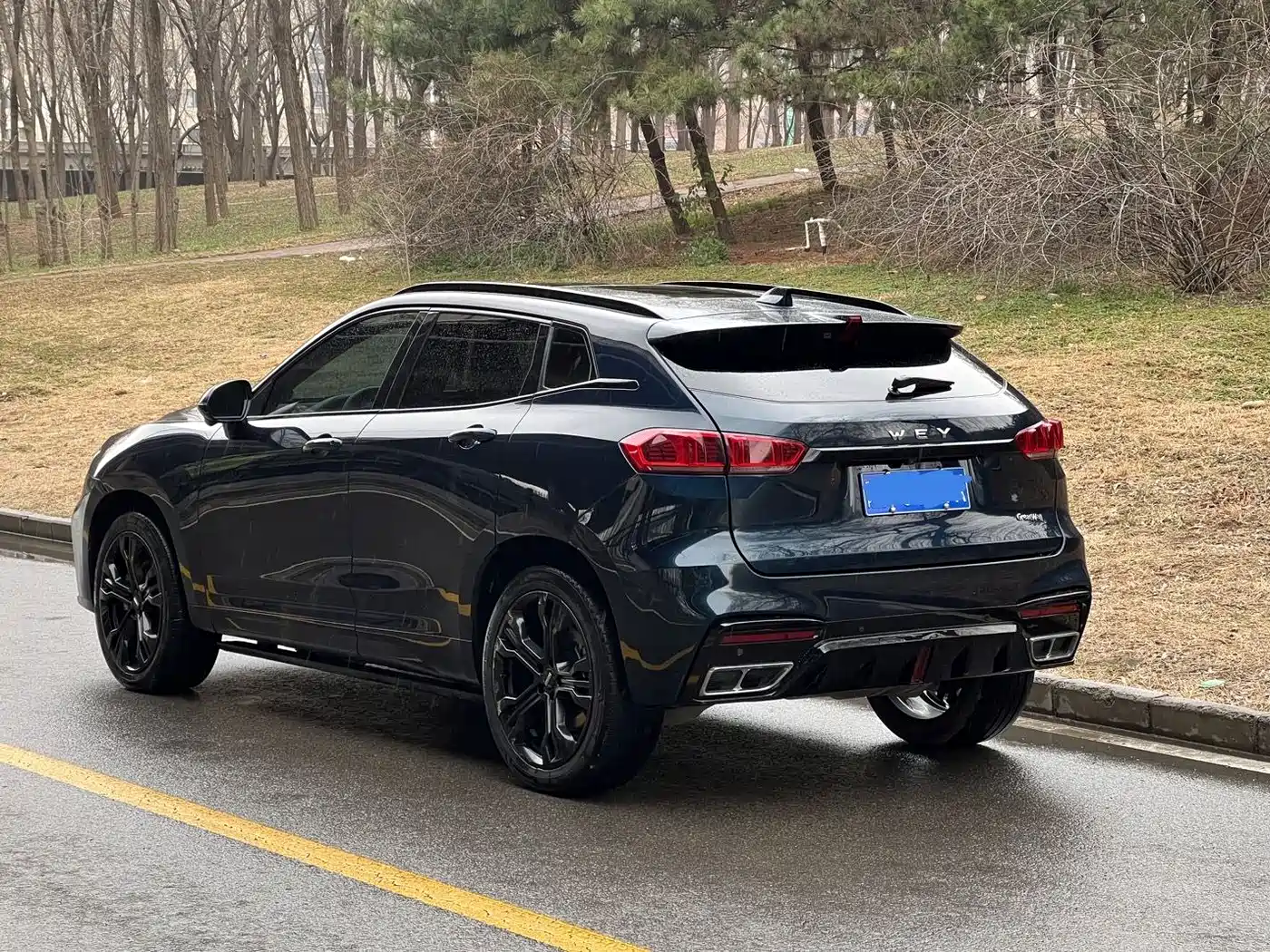 WEI PAI WEI BRAND VV7