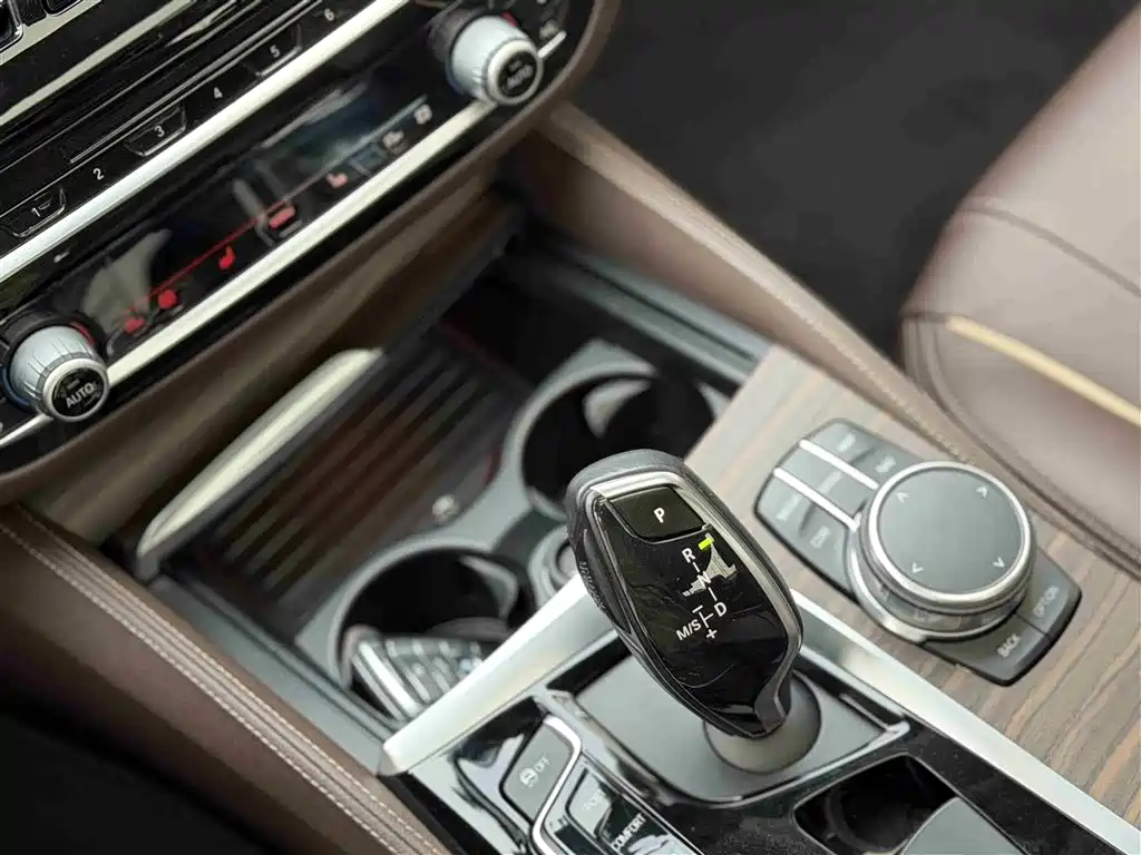 BMW 5 Series 2018 530Li Exclusive Luxury Package фото 8