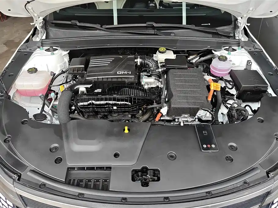 BYD Destroyer 05 2024 Glory Edition DM-i 55KM Luxury фото 10