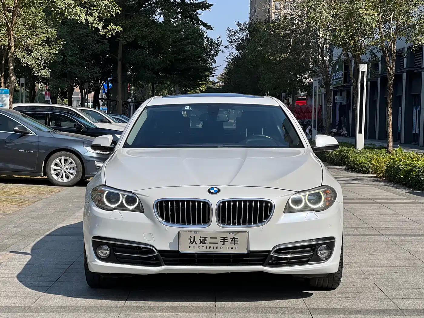 BMW 5 Series 2014 525Li Luxury Design Package фото 2