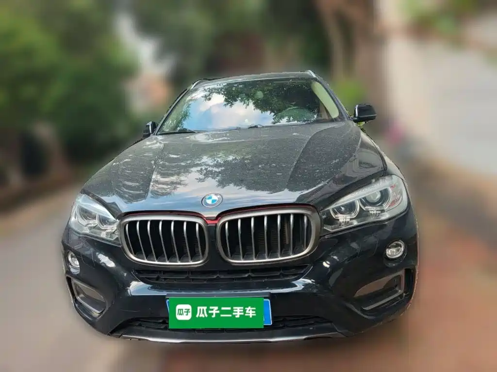 Фото 2 - BMW X6
