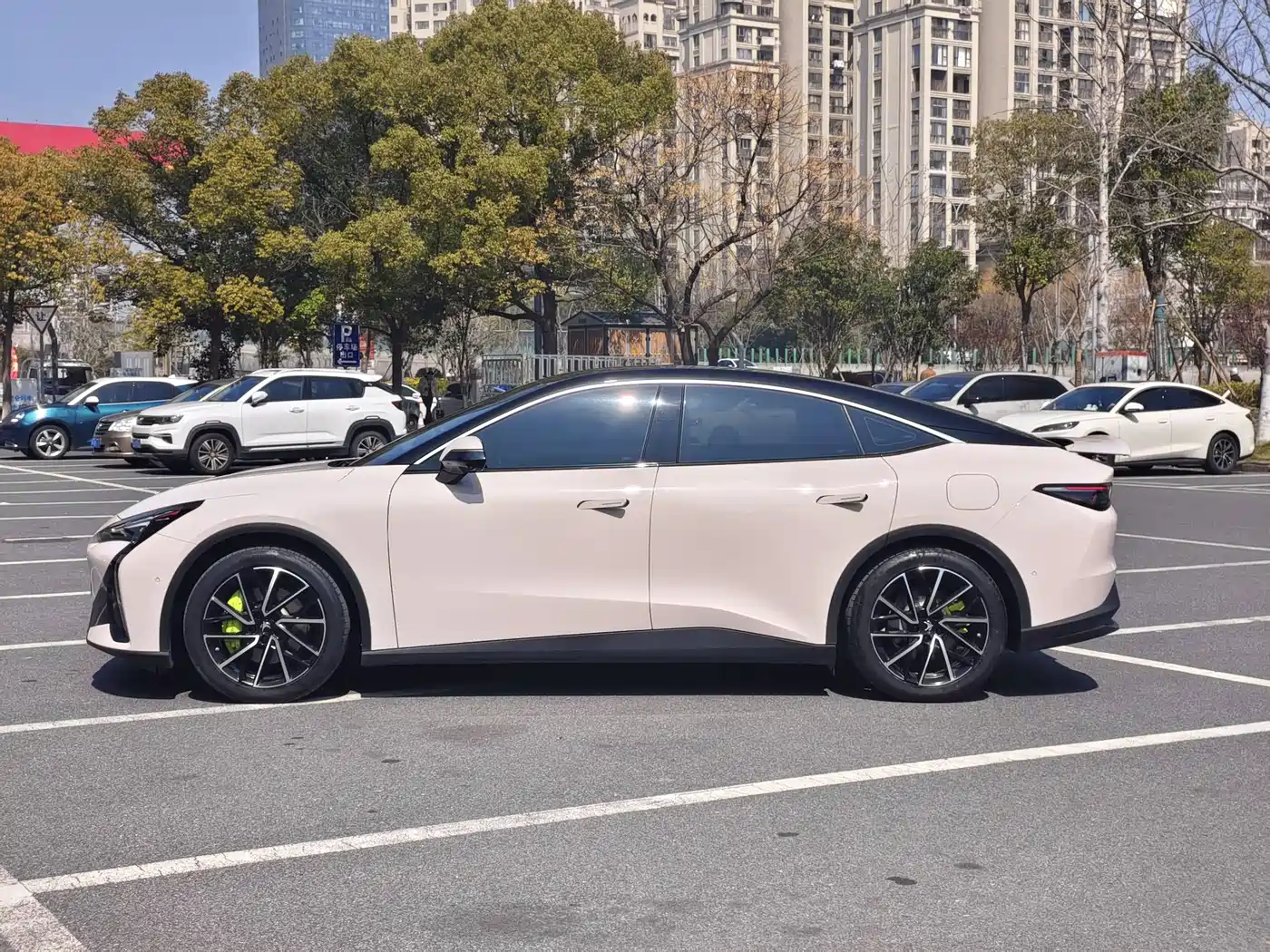 ARCFOX EXTREME FOX POLAR FOX ALPHA S5