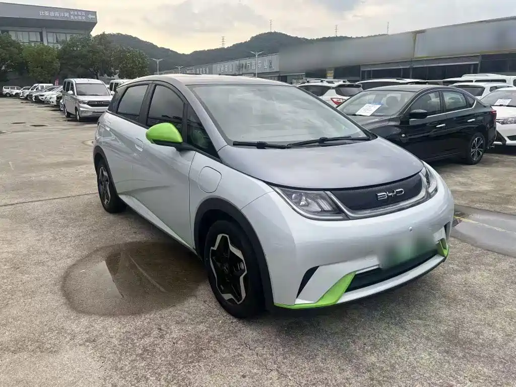 BYD Dolphin 2021 2021 405km Freedom Edition