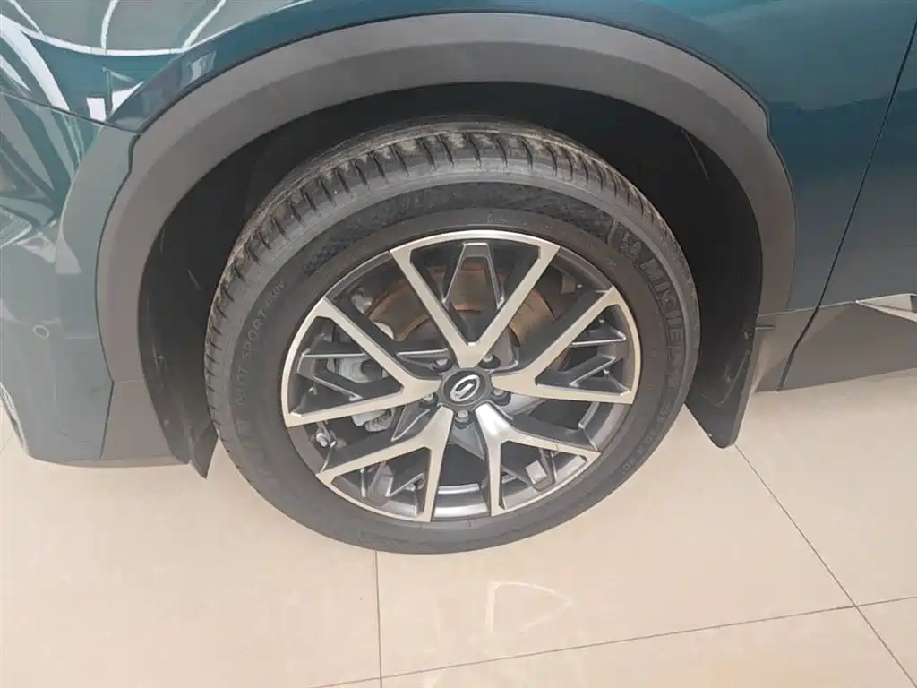 GAC Trumpchi Trumpchi GS8 2022 Pilot Series 2.0TGDI 2WD Premium Edition (6-Seater) фото 23