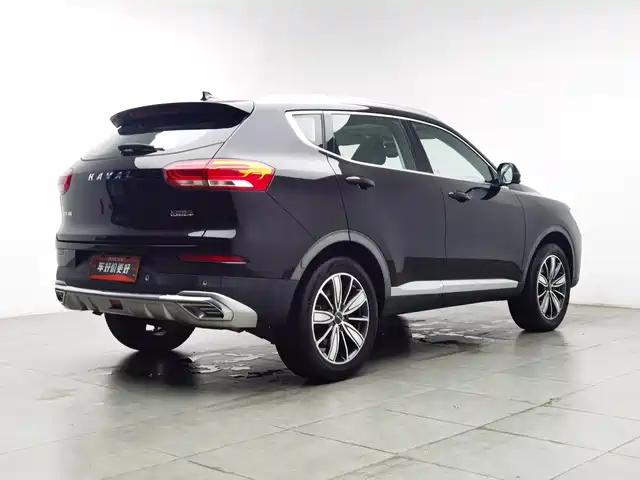 Haval H6 2020 1.5GDIT Automatic Platinum Champion Edition — фото 2