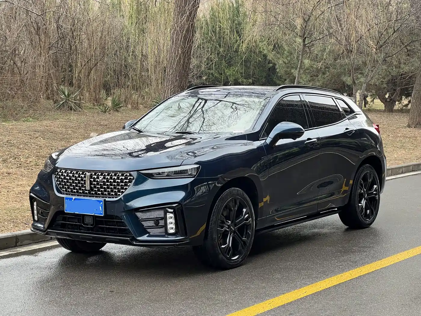 WEI PAI WEI BRAND VV7