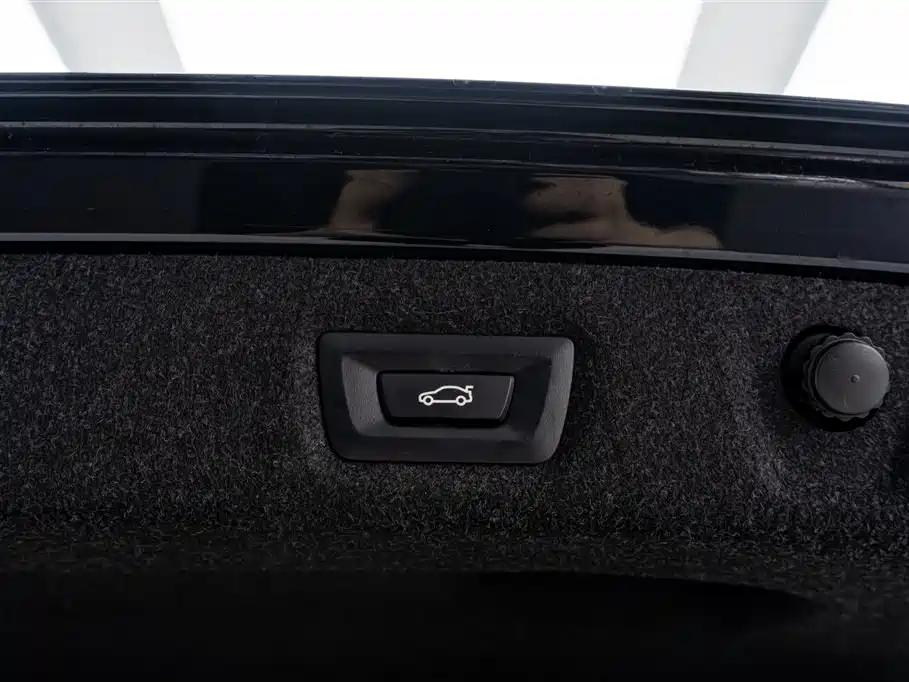 BMW 5 Series 2019 Facelift 530Li Leading M Sport Package фото 15