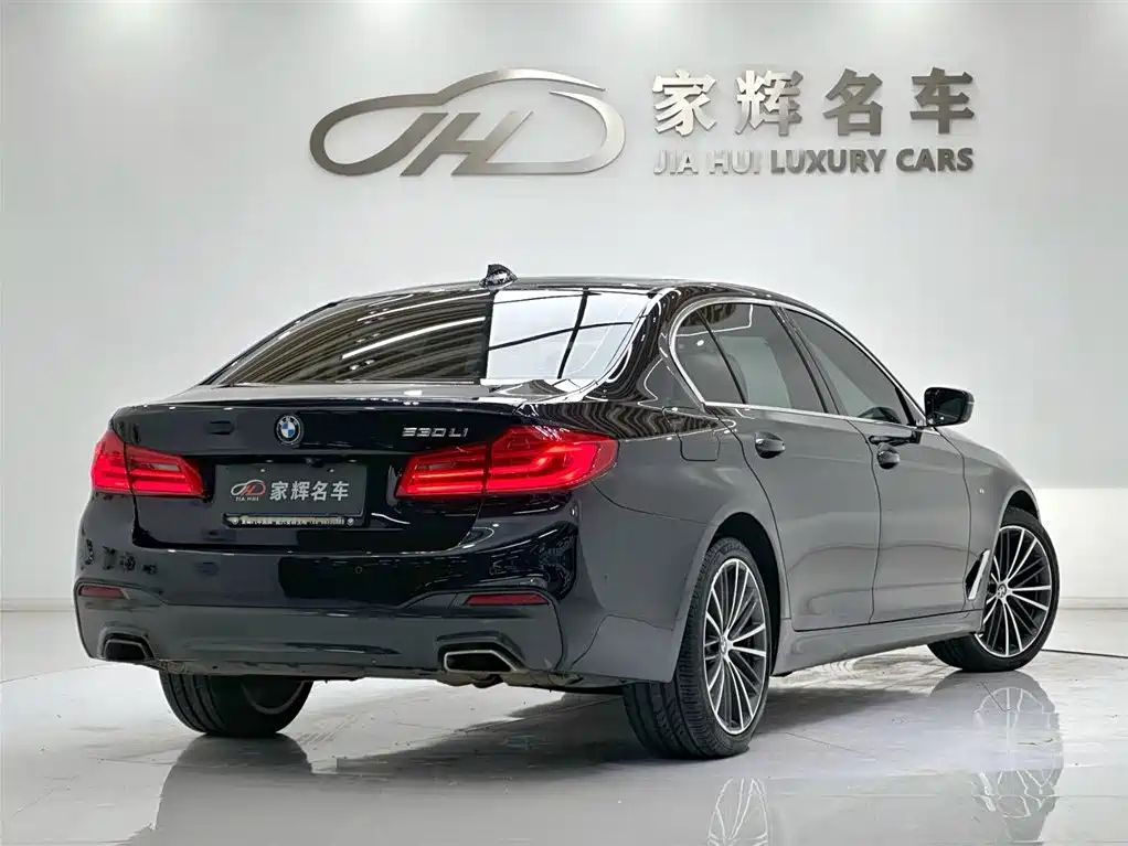 BMW 5 Series 2020 530Li Leading M Sport Package фото 7
