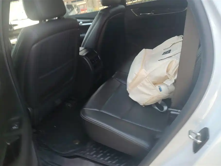 Cadillac XT5 2024 2.0T AWD Luxury (Hummingbird Edition) фото 11