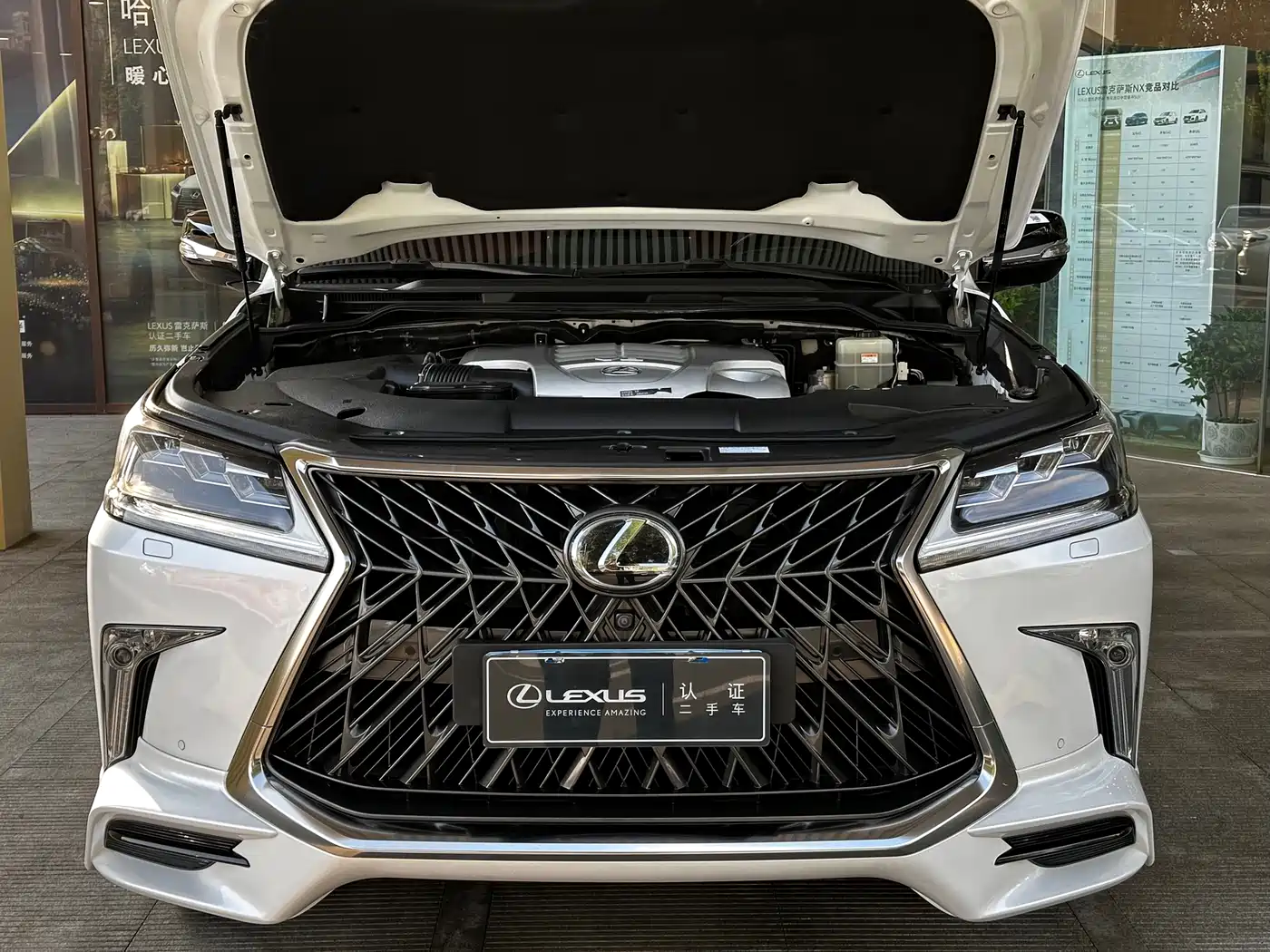 Lexus LX 2019 570 Peak Special Edition фото 11