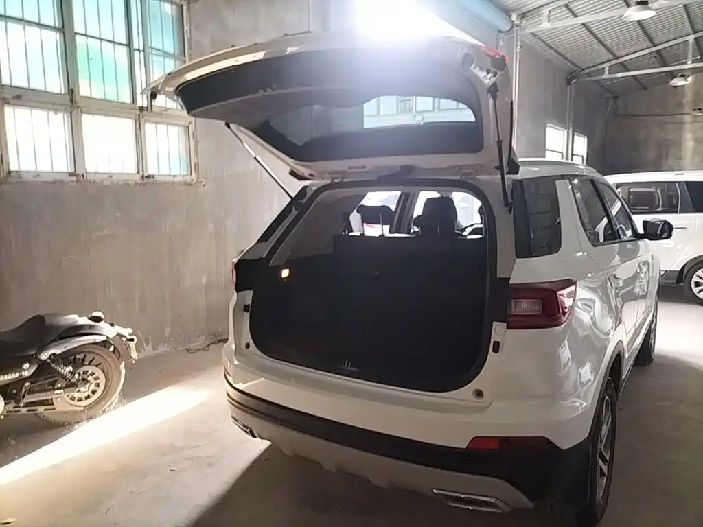 Changan CS55 2019 2018 1.5T Manual Colorful China V